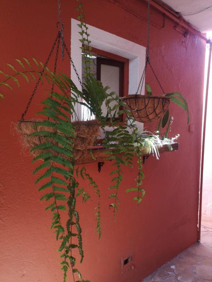 Sila El Paso